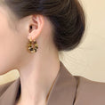 Load image into Gallery viewer, [GULIYA Series] ★Earrings★ 2 types pair accessories ladies retro unique design
