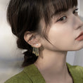 Load image into Gallery viewer, [YOUR EARS series] ★Earrings★ Pierced earrings or earrings Accessories Ladies Date Cute Fish tail
