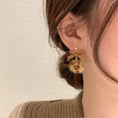 Load image into Gallery viewer, [QCW Leeds] ★Earrings★ Earrings, decorations, accessories, ribbon, pill, cute pair, leopard print, unique, easy to match
