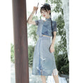 Load image into Gallery viewer, [Dust Smoke Cloud Dream---White Crane Visit Series] ★Chinese style skirt★ Chinese clothes, improved Han clothes, Han clothes skirt, crane, ink pattern
