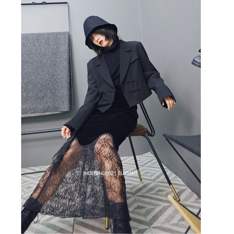 [Daiseiryusu Series]★Skirt★ Bottoms switching velvet long length embroidery mesh SML black black