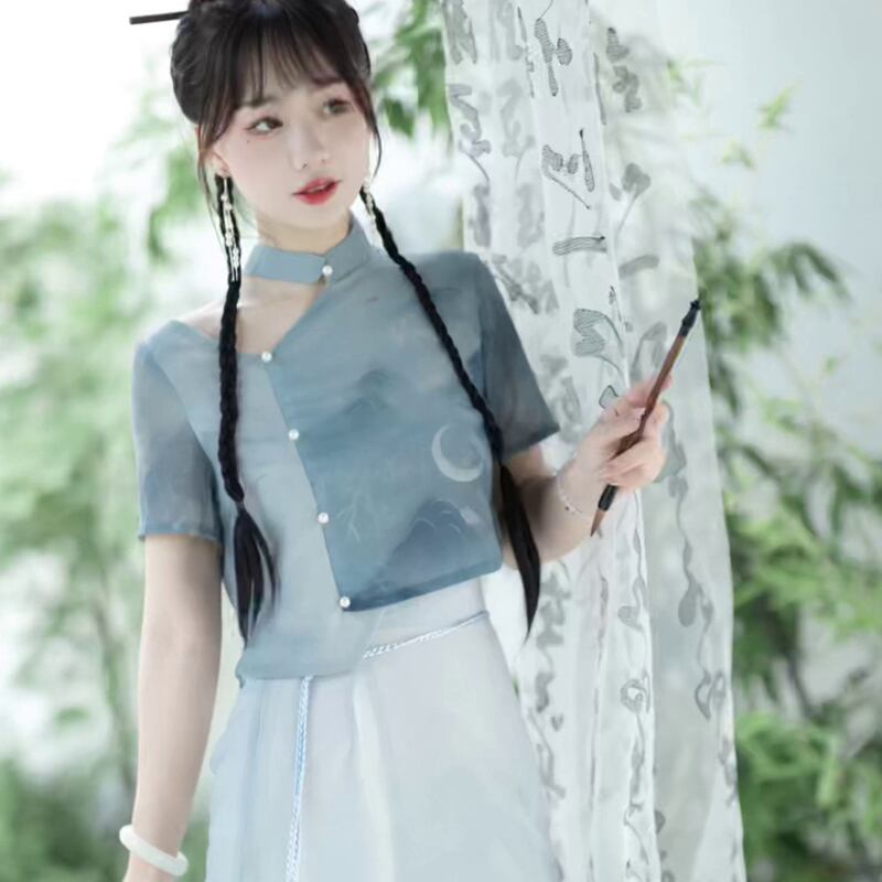 [Dust Smoke Cloud Dream---White Crane Visit Series] ★Chinese style skirt★ Chinese clothes, improved Han clothes, Han clothes skirt, crane, ink pattern