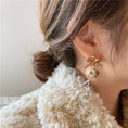 Load image into Gallery viewer, [QCW Leeds] ★Earrings★ Earrings, decorations, accessories, ribbon, pill, cute pair, leopard print, unique, easy to match
