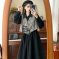 Load image into Gallery viewer, [JIGUJIGU series] ★Chinese style setup★ Large size black brown dress vest
