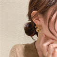 Load image into Gallery viewer, [QCW Leeds] ★Earrings★ Earrings, decorations, accessories, ribbon, pill, cute pair, leopard print, unique, easy to match
