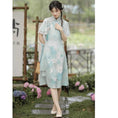 Load image into Gallery viewer, [Kaede bamboo --- Aoni series] ★Chinese style dress★ Hanfu dress, Chinese clothes, cute print, improves temperament
