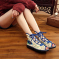 Load image into Gallery viewer, [Kamei Series]★China Shoes★ 2color Blue or Red Dyed Series Sandals Open Toe Shoes Size 35-40
