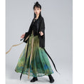 Load image into Gallery viewer, [Unmanku Slanted Hairpin Series] ★China Style Skirt★ Mamian Skirt Senuraeyama Illustration Original Bottoms Long Length
